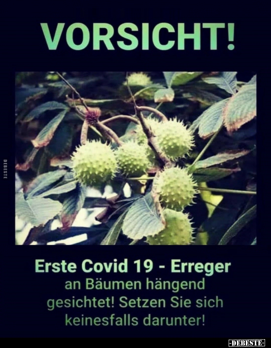 Vorsicht! Erste Covid 19 - Erreger an Bäumen hängend.. - Lustige Bilder | DEBESTE.de