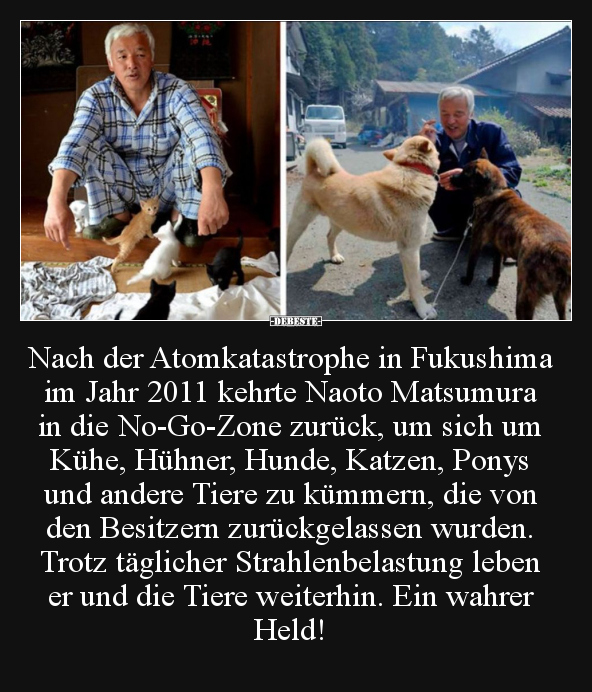 Nach der Atomkatastrophe in Fukushima im Jahr 2011 kehrte.. - Lustige Bilder | DEBESTE.de