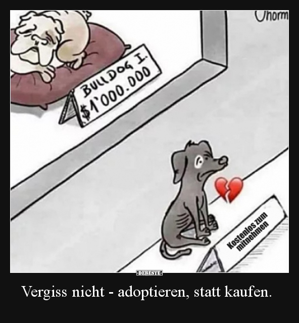 Vergiss nicht - adoptieren, statt kaufen... - Lustige Bilder | DEBESTE.de
