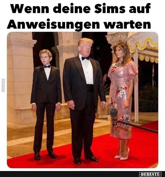 Wenn deine Sims auf Anweisungen warten.. - Lustige Bilder | DEBESTE.de