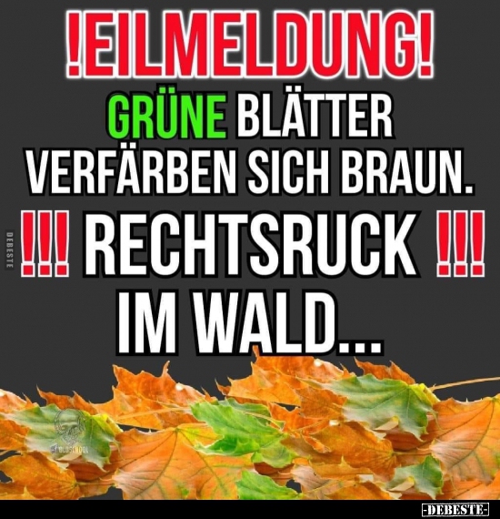 !Eilmeldung! Grüne Blätter verfärben sich braun. !!!.. - Lustige Bilder | DEBESTE.de