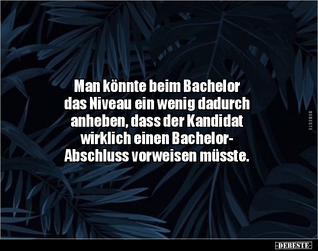 Man könnte beim Bachelor das Niveau ein wenig dadurch.. - Lustige Bilder | DEBESTE.de