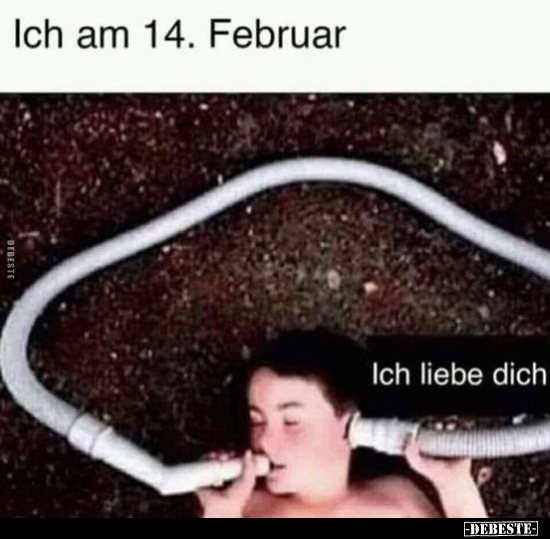 Ich am 14. Februar.. - Lustige Bilder | DEBESTE.de