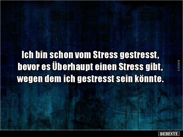 Ich bin schon vom Stress gestresst, bevor es Überhaupt.. - Lustige Bilder | DEBESTE.de