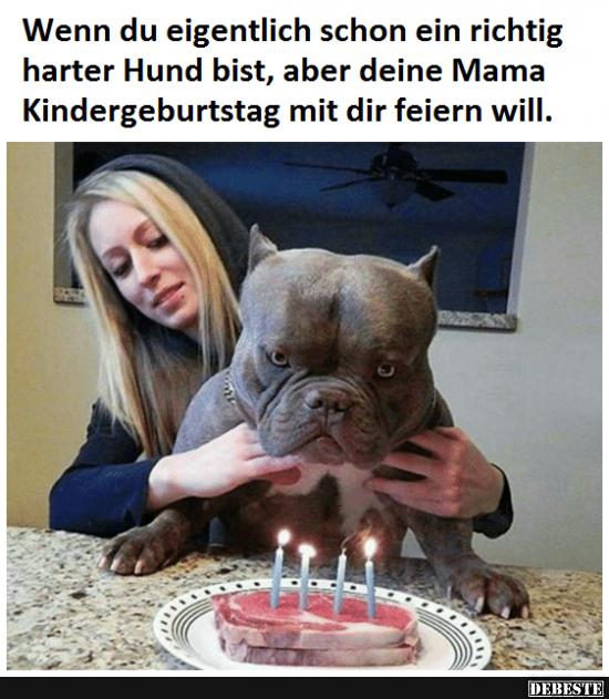 Wenn du eigentlich schon ein richtig harter Hund bist.. - Lustige Bilder | DEBESTE.de