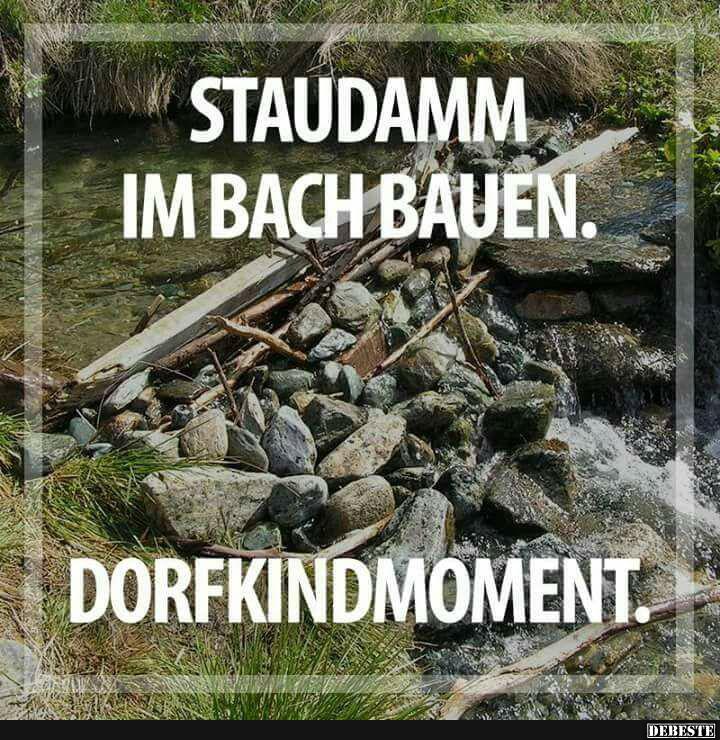 Staudamm im Bach bauen.. - Lustige Bilder | DEBESTE.de