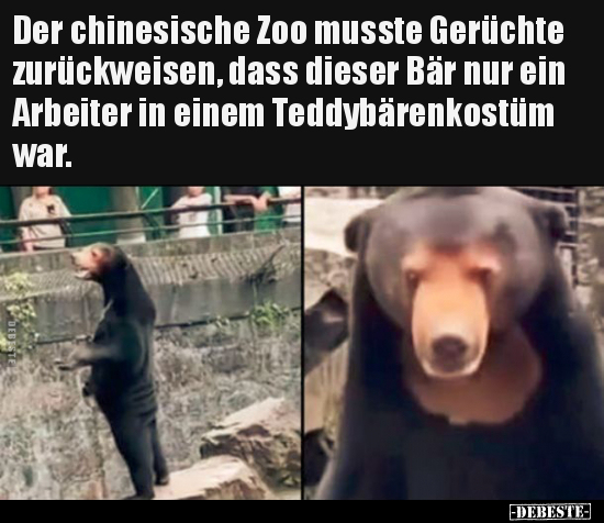 Der chinesische Zoo musste Gerüchte zurückweisen, dass.. - Lustige Bilder | DEBESTE.de