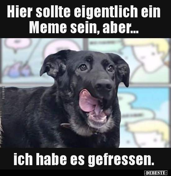 Hier sollte eigentlich ein Meme sein, aber... ich habe es.. - Lustige Bilder | DEBESTE.de