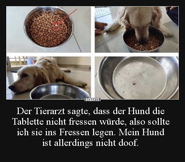 Der Tierarzt sagte, dass der Hund die Tablette nicht.. - Lustige Bilder | DEBESTE.de