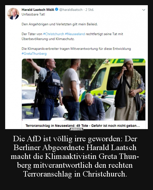Die AfD ist völlig irre geworden: Der Berliner Abgeordnete.. - Lustige Bilder | DEBESTE.de