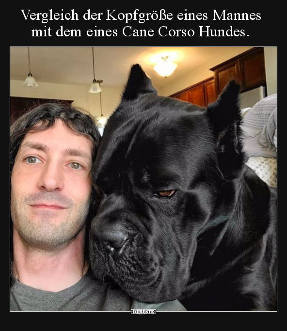 Vergleich der Kopfgröße eines Mannes mit dem eines Cane.. - Lustige Bilder | DEBESTE.de
