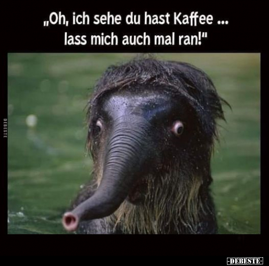 "Oh, ich sehe du hast Kaffee... lass mich auch mal.." - Lustige Bilder | DEBESTE.de