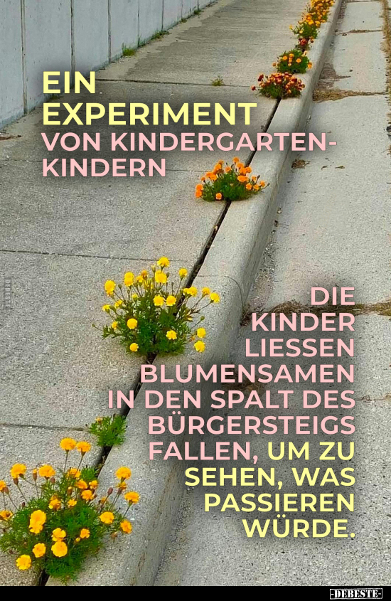 Ein Experiment von Kindergartenkindern... - Lustige Bilder | DEBESTE.de
