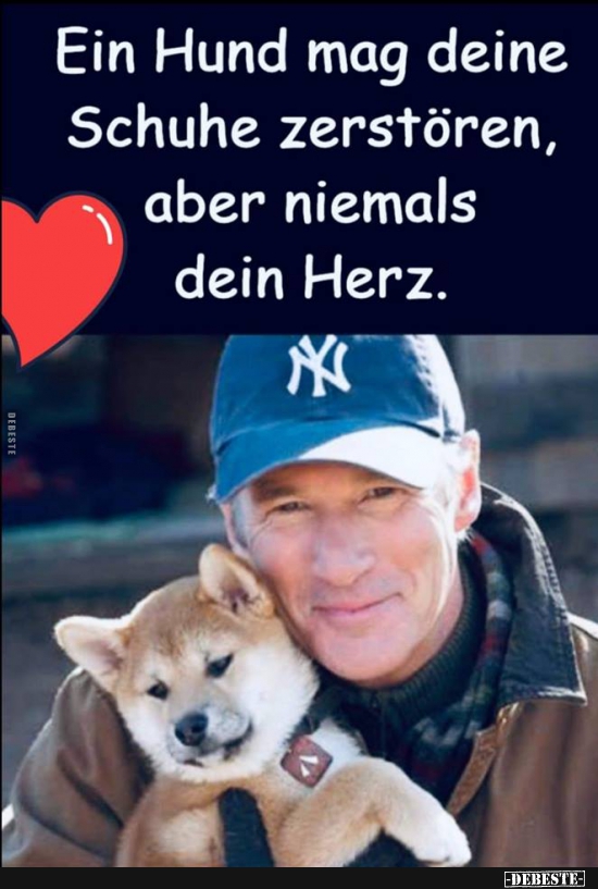 Ein Hund mag deine Schuhe zerstören, aber niemals dein Herz. - Lustige Bilder | DEBESTE.de