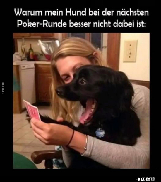Warum mein Hund bei der nächsten Poker-Runde besser nicht.. - Lustige Bilder | DEBESTE.de