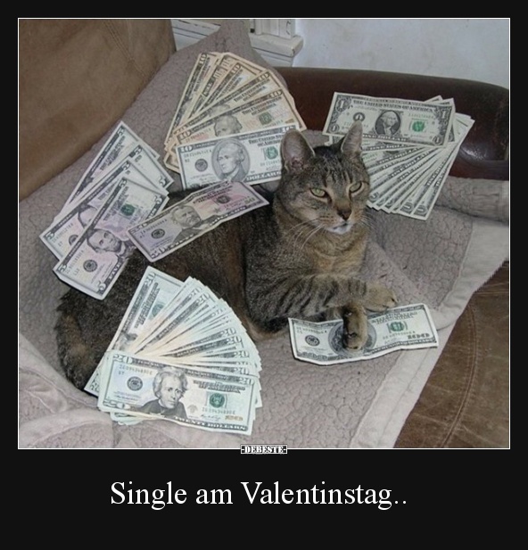 Single am Valentinstag.. - Lustige Bilder | DEBESTE.de