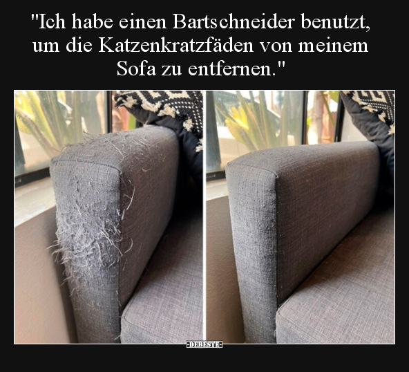 "Ich habe einen Bartschneider benutzt, um die.." - Lustige Bilder | DEBESTE.de