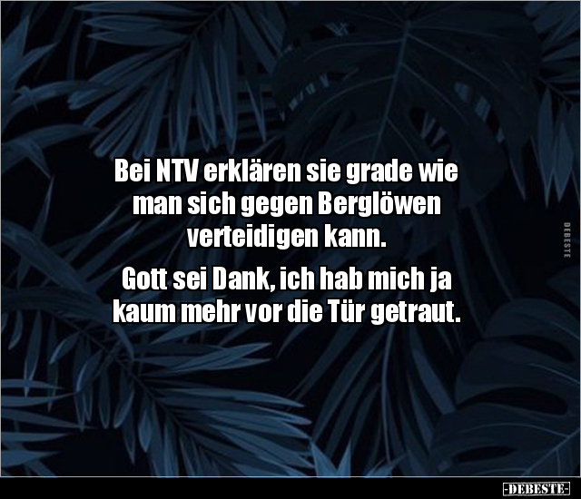 Bei NTV erklären sie grade wie man sich gegen Berglöwen.. - Lustige Bilder | DEBESTE.de