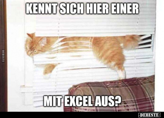 Kennt sich hier einer mit Excel aus?.. - Lustige Bilder | DEBESTE.de