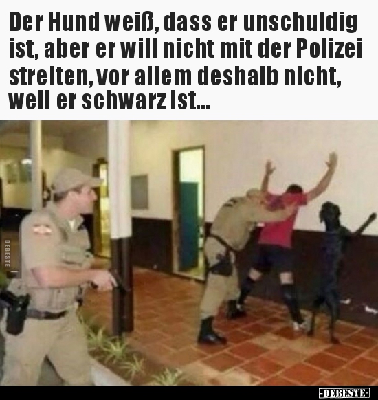 Der Hund weiß, dass er unschuldig ist, aber er will nicht.. - Lustige Bilder | DEBESTE.de