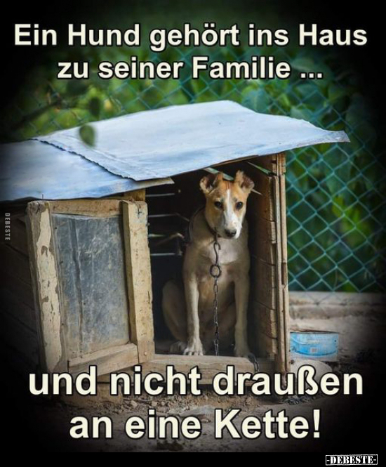 Ein Hund gehört ins Haus zu seiner Familie.. - Lustige Bilder | DEBESTE.de