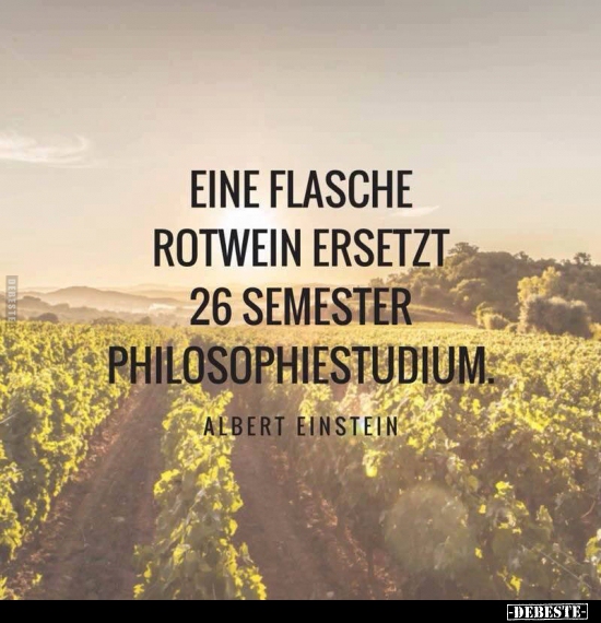 Eine Flasche Rotwein ersetzt 26 Semester Philosophiestudium. - Lustige Bilder | DEBESTE.de