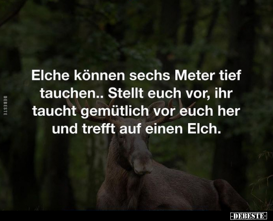 Elche können sechs Meter tief tauchen... Stellt euch vor.. - Lustige Bilder | DEBESTE.de