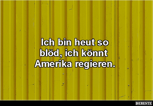 Ich bin heut so blöd, ich könnt Amerika regieren. - Lustige Bilder | DEBESTE.de