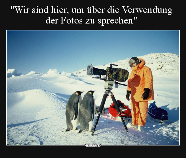 "Wir sind hier, um über die Verwendung der Fotos zu.." - Lustige Bilder | DEBESTE.de