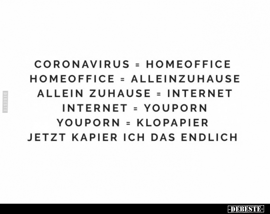 Coronavirus = Homeoffice, Homeoffice = Allein zuhause.. - Lustige Bilder | DEBESTE.de