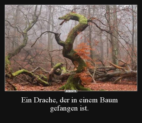 Ein Drache, der in einem Baum gefangen ist... - Lustige Bilder | DEBESTE.de