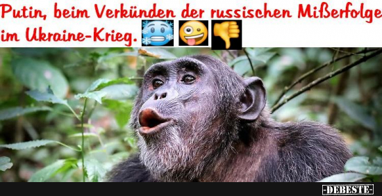 Lustige Bilder Krieg Seite Debeste De