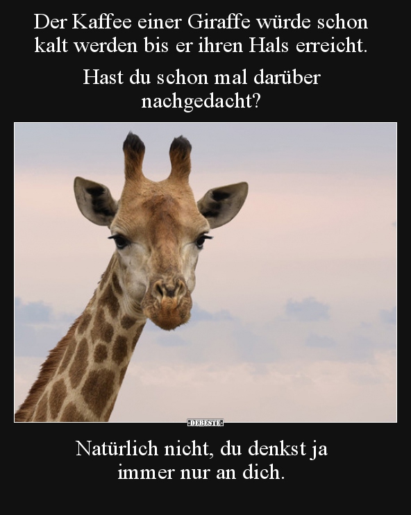 Der Kaffee einer Giraffe würde schon kalt werden bis er.. - Lustige Bilder | DEBESTE.de