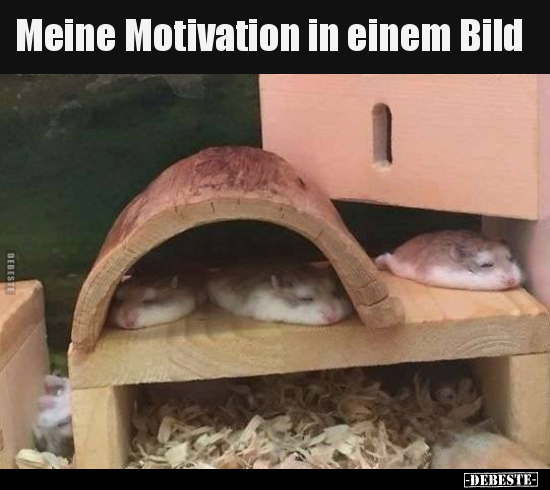 Meine Motivation in einem Bild.. - Lustige Bilder | DEBESTE.de