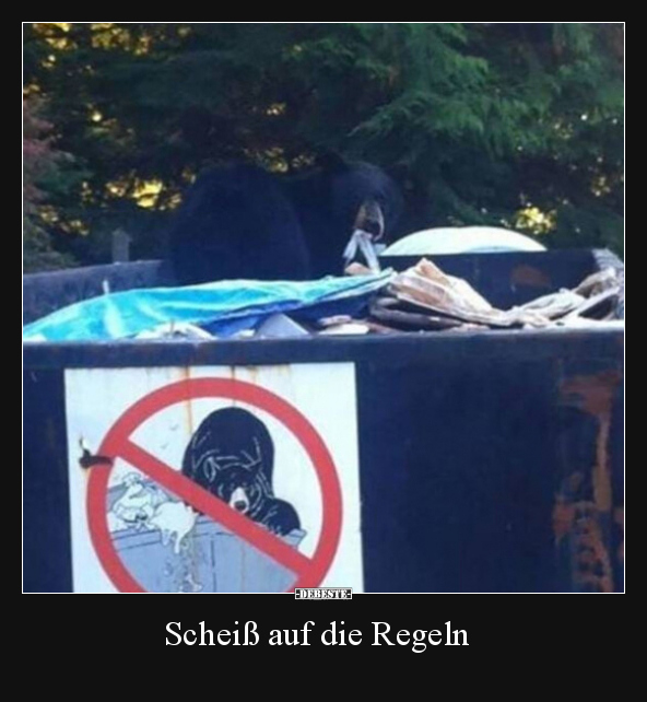 Sche*iß auf die Regeln.. - Lustige Bilder | DEBESTE.de