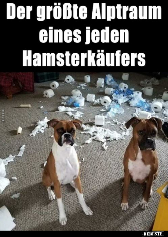 Der größte Alptraum eines jeden Hamsterkäufers.. - Lustige Bilder | DEBESTE.de