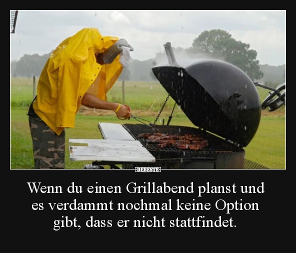 Wenn du einen Grillabend planst und es verdammt nochmal.. - Lustige Bilder | DEBESTE.de