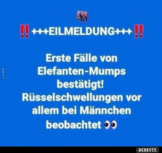 +++EILMELDUNG+++ Erste Fälle von Elefanten-Mumps bestätigt!.. - Lustige Bilder | DEBESTE.de
