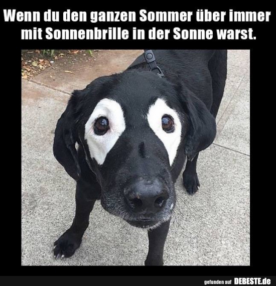Wenn du den ganzen Sommer über immer mit Sonnenbrille in der Sonne warst. - Lustige Bilder | DEBESTE.de