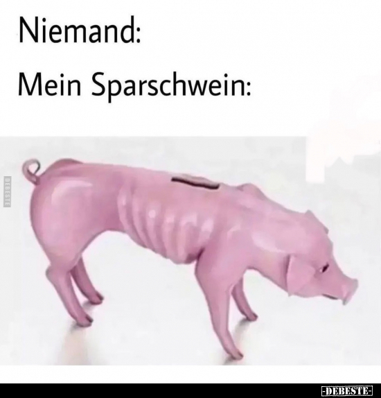 Niemand.. Mein Sparschwein.. - Lustige Bilder | DEBESTE.de