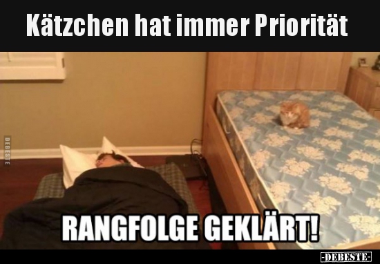 Kätzchen hat immer Priorität.. - Lustige Bilder | DEBESTE.de