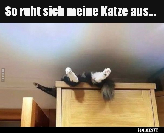 So ruht sich meine Katze aus.. - Lustige Bilder | DEBESTE.de