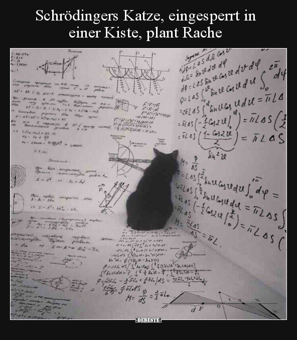 Schrödingers Katze, eingesperrt in einer Kiste, plant.. - Lustige Bilder | DEBESTE.de