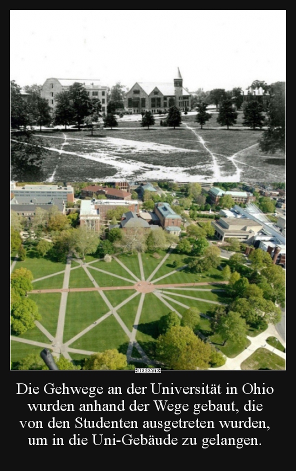 Die Gehwege an der Universität in Ohio wurden anhand der.. - Lustige Bilder | DEBESTE.de