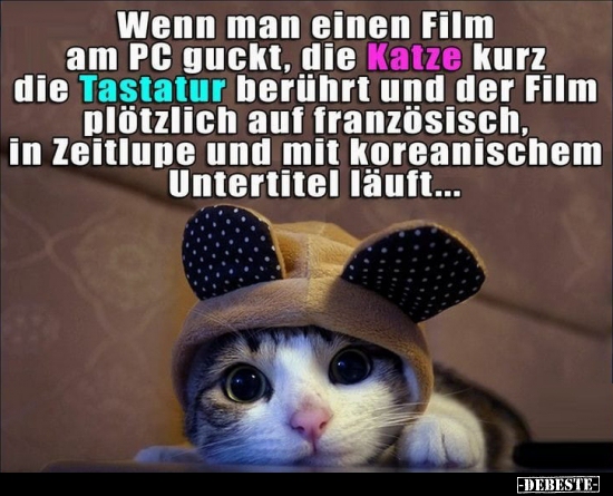 Wenn man einen Film am PC guckt, die Katze kurz die.. - Lustige Bilder | DEBESTE.de