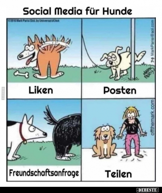 Social Media für Hunde.. - Lustige Bilder | DEBESTE.de