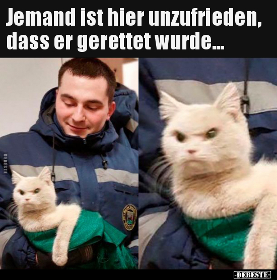 Jemand ist hier unzufrieden, dass er gerettet wurde... - Lustige Bilder | DEBESTE.de