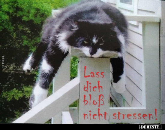 Lass dich bloß nicht stressen!.. - Lustige Bilder | DEBESTE.de