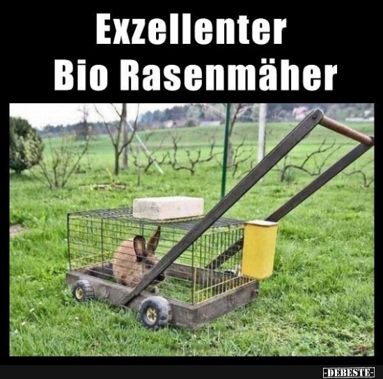 Exzellenter Bio Rasenmäher. - Lustige Bilder | DEBESTE.de