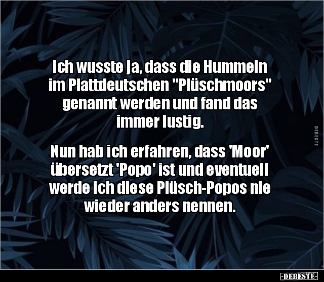 Ich wusste ja, dass die Hummeln im Plattdeutschen.. - Lustige Bilder | DEBESTE.de